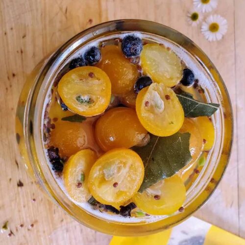 Easy Refrigerator Pickles