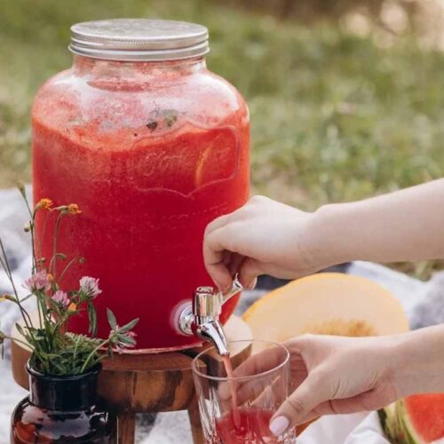 Indian Watermelon Juice