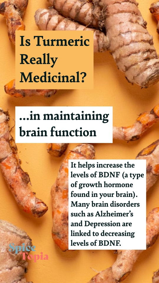 Can Turmeric Help With Brain Health?
