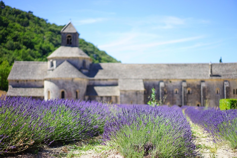 The Story of Herbes de Provence 