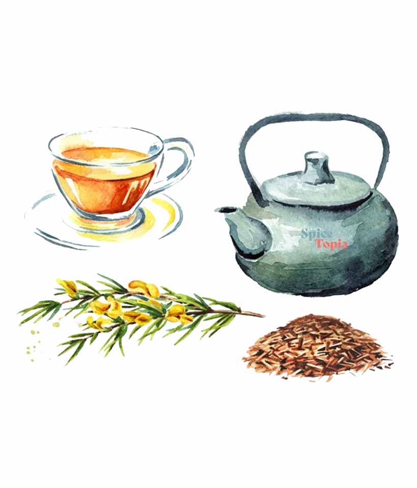 What is Rooibos Tea